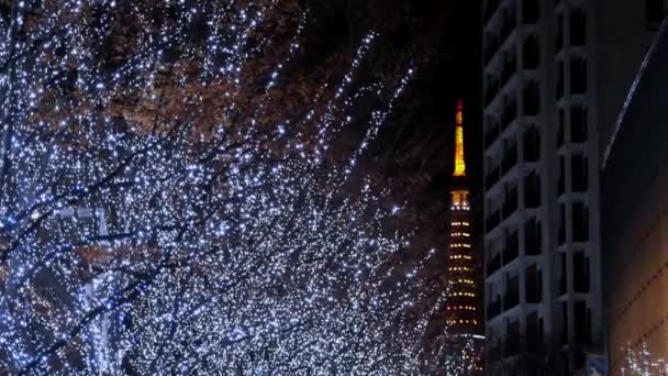 Światła Bożego Narodzenia Tle Miasta Nocy — Wideo stockowe