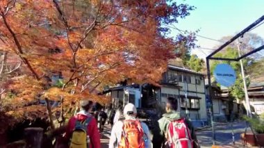 Parkın eski şehri.