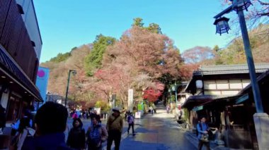 Kyoto, Japonya 2019 - 2019: Kyoto, Japonya 'nın güzel manzarası. Meşhur turizm merkezi..