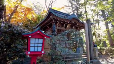 Şehir parkının güzel manzarası