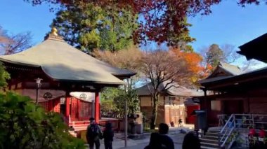 kyoto, japan - Kasım 0 7, 218: Kyoto tapınağı, Japonya 'nın Kyoto şehrinde bulunan bir Japon tapınağıdır.