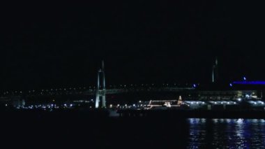 Siyah arka planda gece havai fişekleri