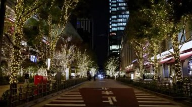 Tokyo Japonya 'da Noel gecesi.