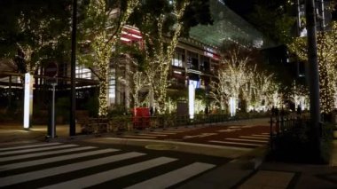 Tokyo, Japonya - 22 Aralık 2212: Tokyo şehri gece manzarası, Japonya