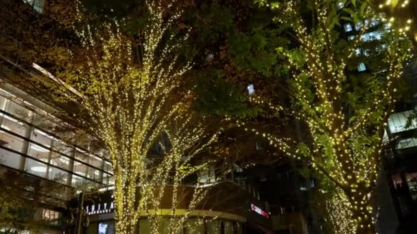 Weihnachtsbaum Der Nacht — Stockvideo
