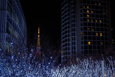 Geceleri Tokyo ağacı.