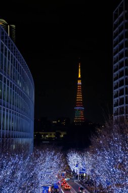 Tokyo tower geceleri, Japonya