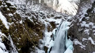 Ormanda şelale, doğa ve bitki örtüsü