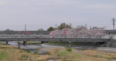 Sabahları parkın manzarası.