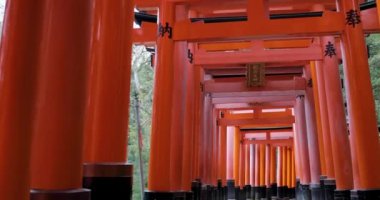 İnari fushimi inari sha 'nın güzel kırmızı kapıları