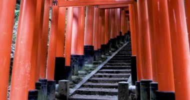Kyoto 'daki Cennet Tapınağı, Japonya