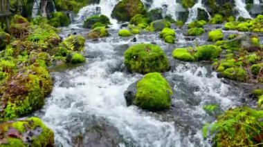 İzlanda'daki bir şelale nehir bahar dağlardan arasında