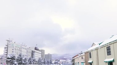Kar ve ağaçlarla kaplı kış manzarası