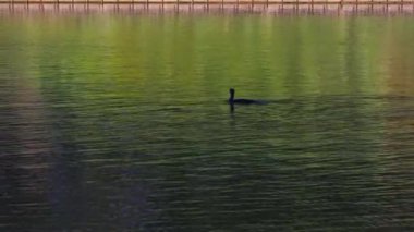 Sabah göl manzarası çok güzel.