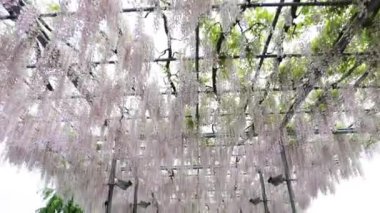 Parkın güzel manzarası