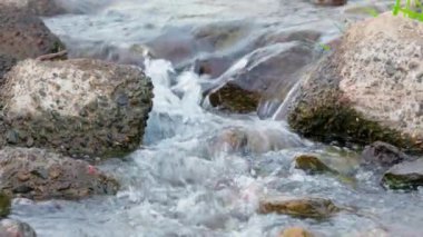 Ormandaki su akıntısı