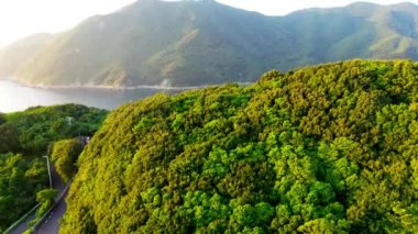 the beautiful view of the city of the island of the new york