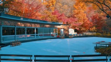 Parkta sonbahar yaprakları