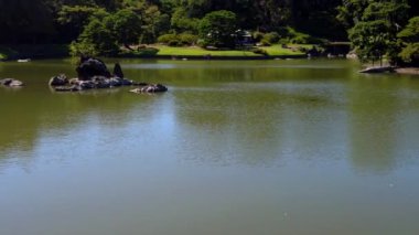 Şehir parkının güzel manzarası