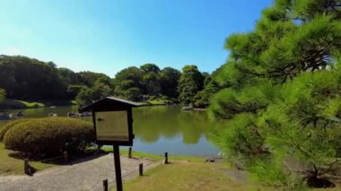 Parkta göleti olan Japon bahçesi.