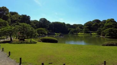 Parkın güzel manzarası