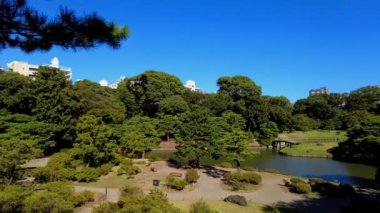 Tokyo, Japonya Kasım 2818 Kimliği belirsiz birçok insan ueno parkında yürüyor ve bahçedeki ağacı izliyor..