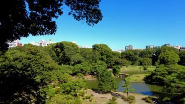 Tokyo, Japonya - Haziran 310, 2017: Tokyo, Japonya Parkı manzarası