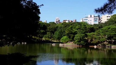 Gündüz şehir parkı manzarası