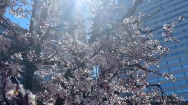 Barselona şehrinin manzarası