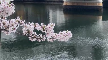 İsveç 'teki Stockholm şehri manzarası