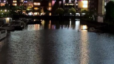 New York şehrinin gece manzarası