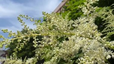 Doğanın güzel manzarası