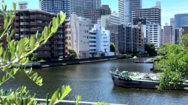 Şehrin modern mimarisi