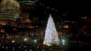 Geceleyin yılbaşı ağacı