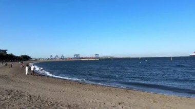 Deniz kıyısının güzel manzarası