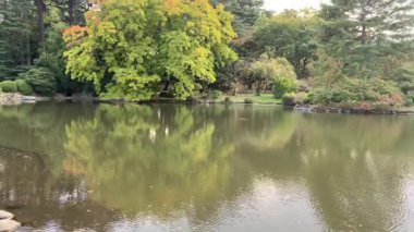 Arka planda nehir ve göl olan güzel bir manzara.