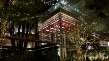 Geceleyin Noel ağacı