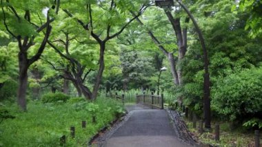 Parkın güzel manzarası