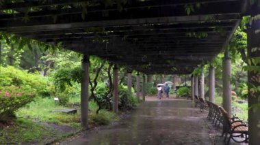 Parkın güzel manzarası