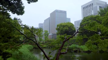 Sabah şehir parkının manzarası