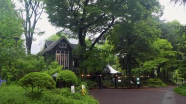 Parkın güzel manzarası