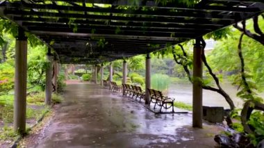 Parkın güzel manzarası