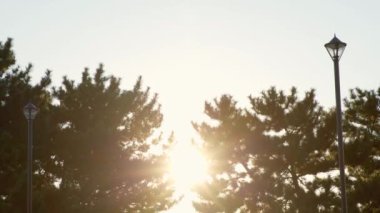 Parkın güzel manzarası