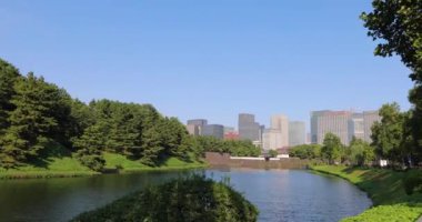 Yazın parkın manzarası.