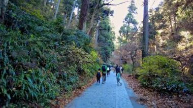 Ormandaki genç çift