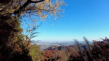 Şehir parkının güzel manzarası