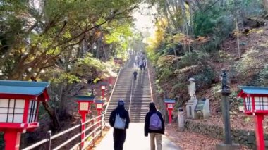 Adam parkta yürüyor.