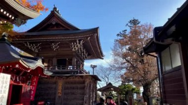 Japonya 'da geleneksel Japon mimarisi