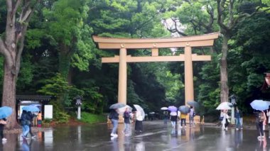 Japonlar parkta yürüyor.