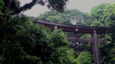 Parkın güzel manzarası